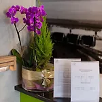 Green Hotel 3*